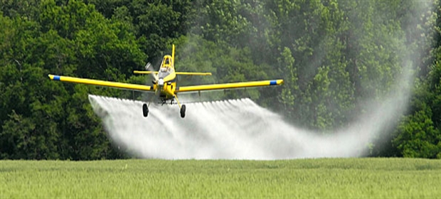 spray-pesticides-wheat - Copy